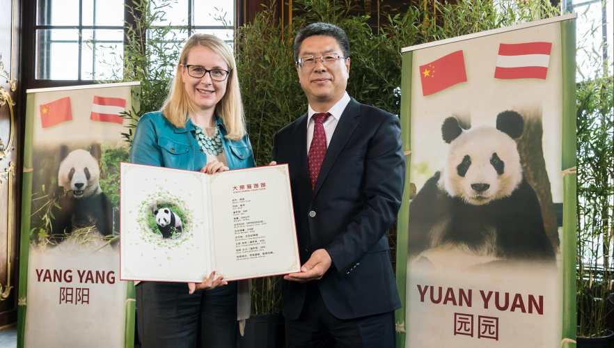 Panda Yuan Yuan offiziell an Tiergarten Schönbrunn übergeben