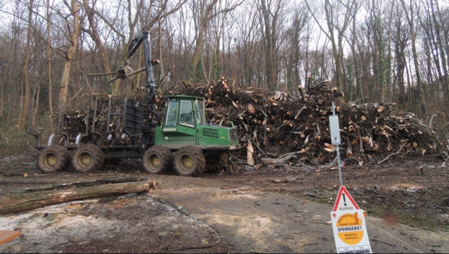 Küniglberg-Wald: ein versöhnliches Ende