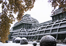Das Palmenhaus in Schönbrunn