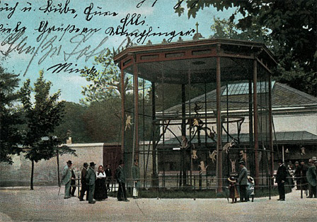 Das Affenhaus im Tiergarten Schönbrunn