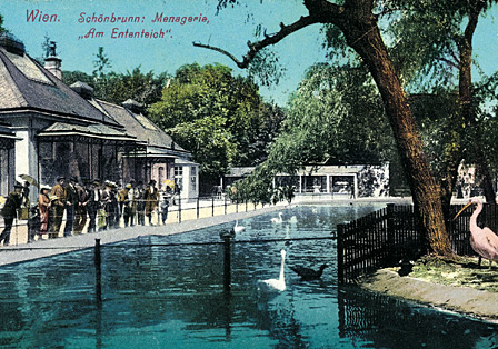 Der Ententeich im Tiergarten Schönbrunn