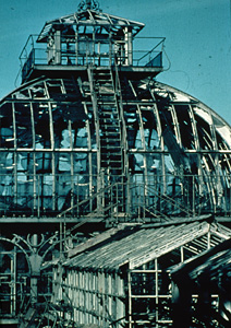 Die Bombardierung des Palmenhauses im 2. Weltkrieg