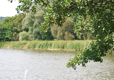 Hohenauer Teich