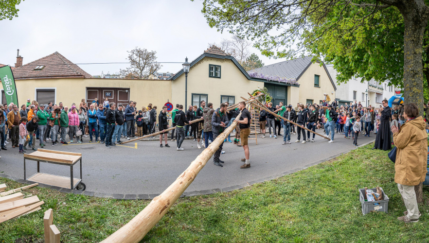 Maibaumfest in Ober Sankt Veit
